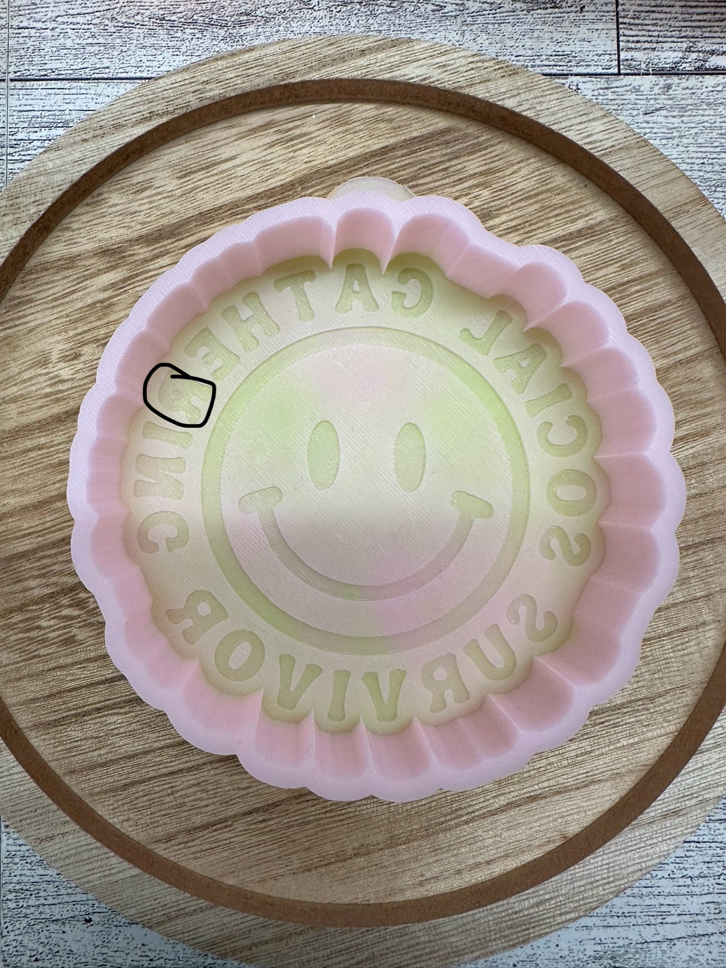 Social Gathering Survivor - B GRADE MOLD