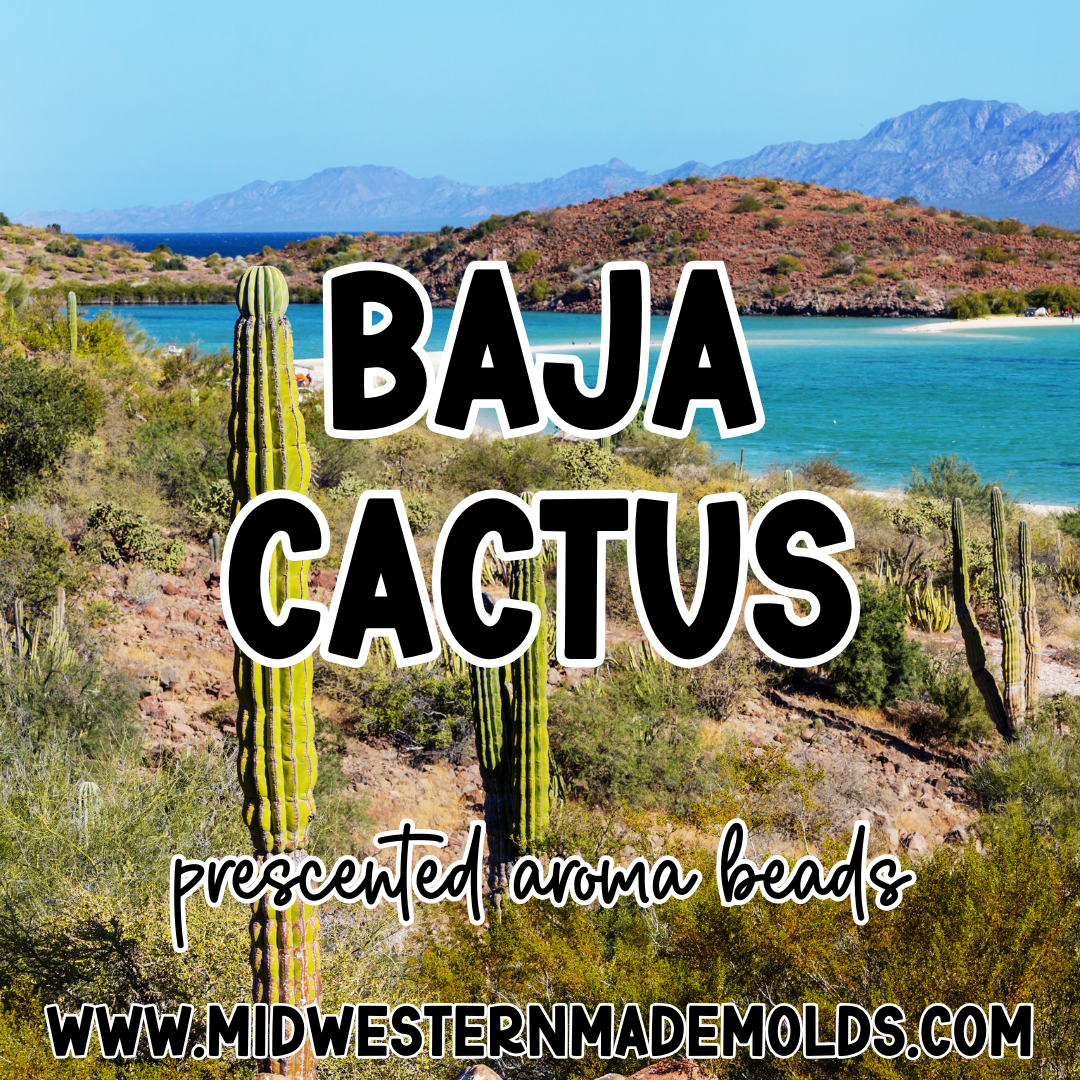 Baja Cactus Prescented Aroma Beads