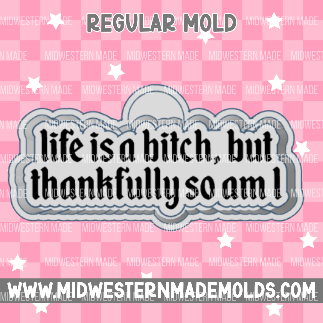 Life Is A B*tch Freshie Mold