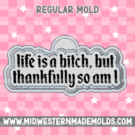 Life Is A B*tch Freshie Mold