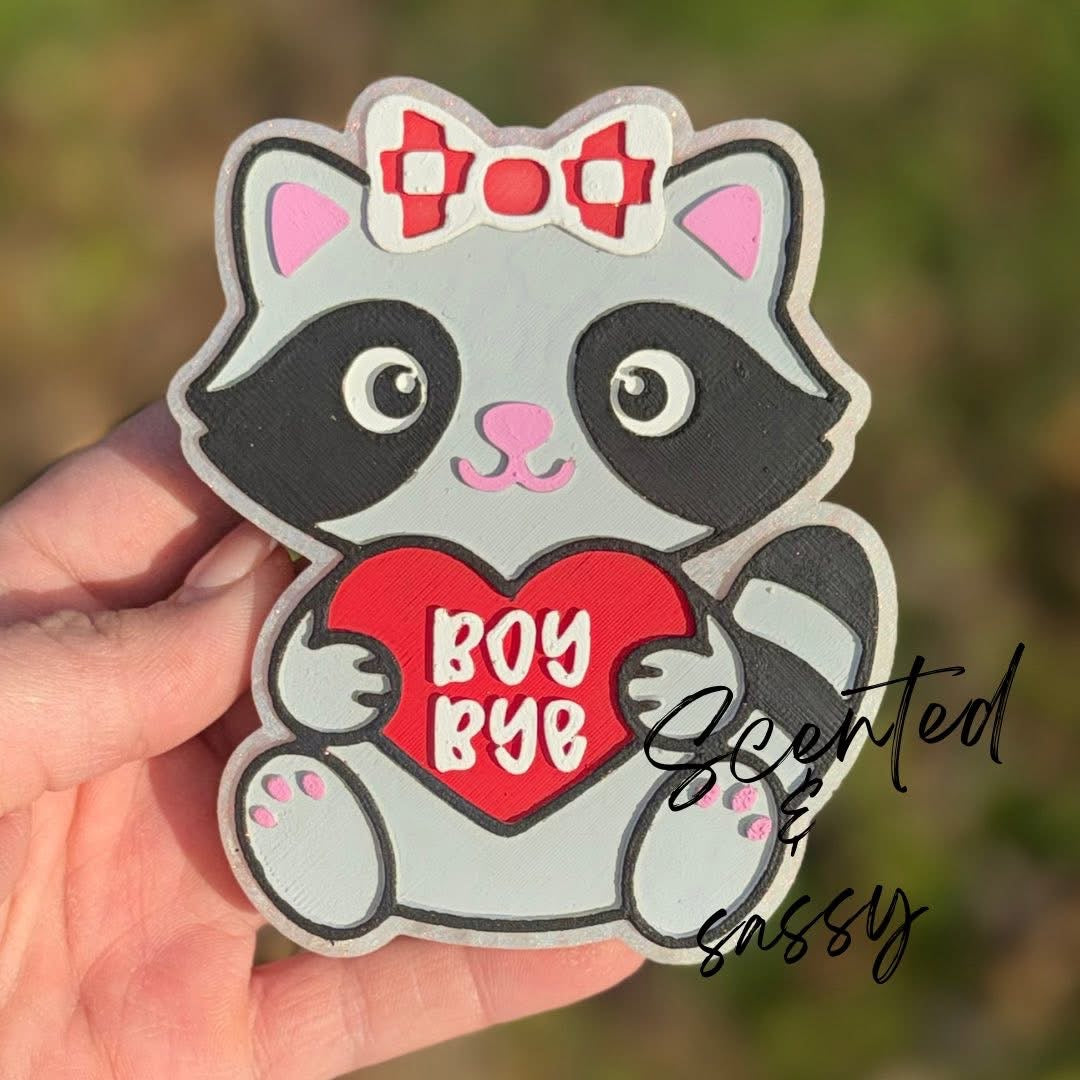 Boy Bye Raccoon Freshie Mold