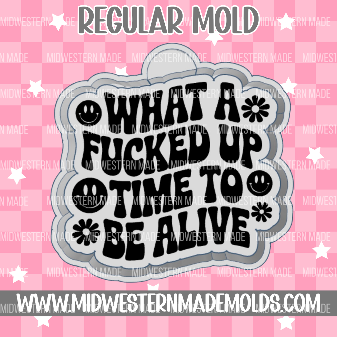 What A Time To Be Alive Freshie Mold