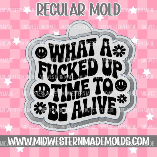What A Time To Be Alive Freshie Mold