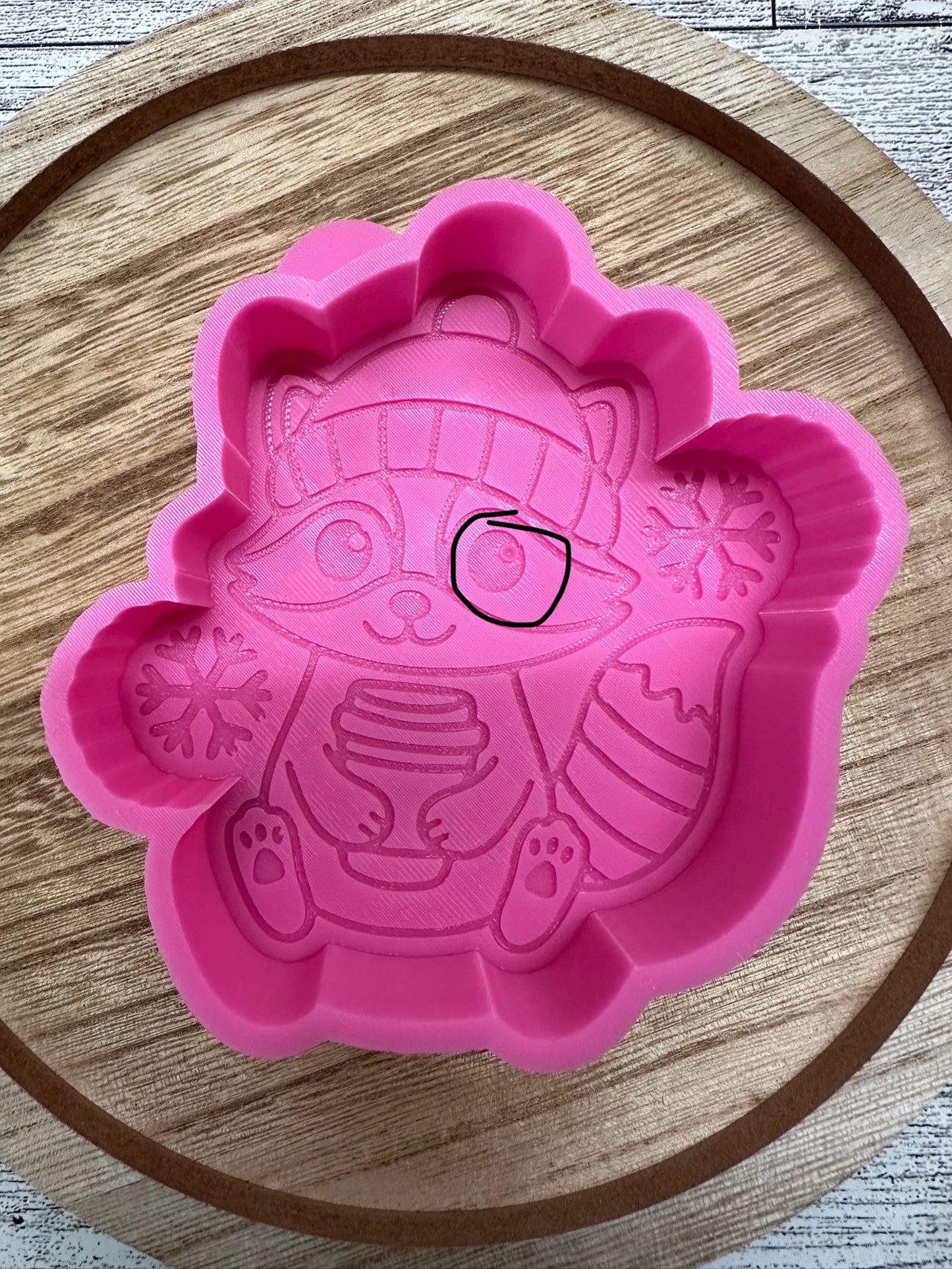 Winter Raccoon #1 - B GRADE MOLD